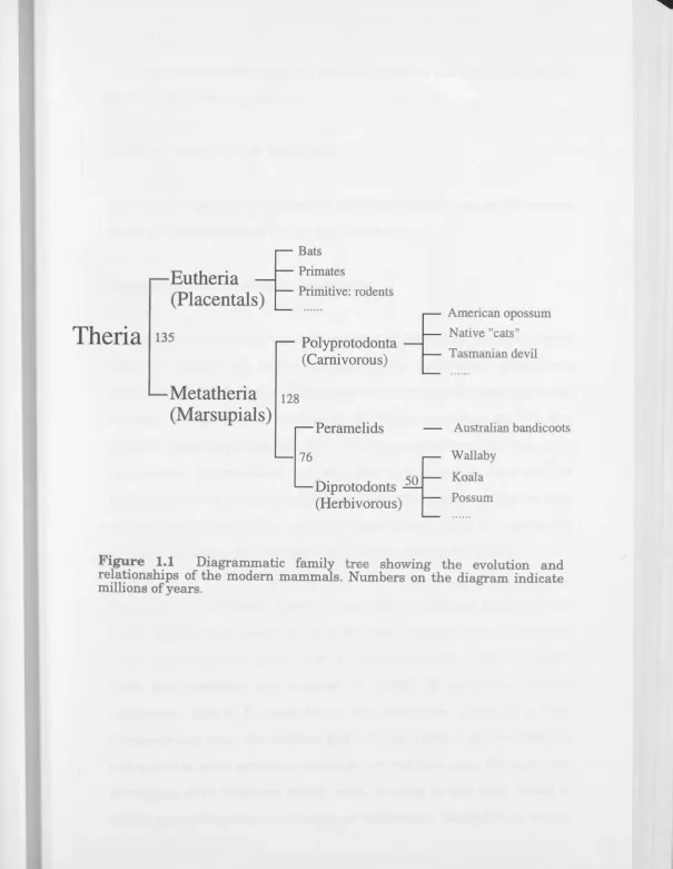 Figure 1.1 relationships 