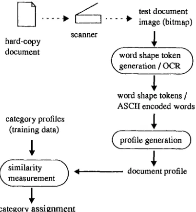 Figure 3: categorization process 