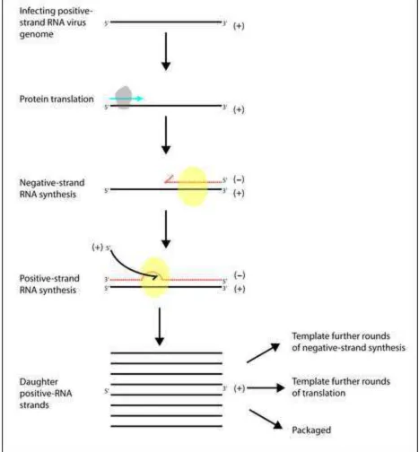 Figure 1 post reviewClick here to download high resolution image