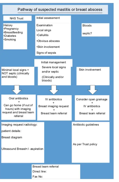 Figure 5 recommended pathway.Abbreviations: IV, intravenous; NhS, .