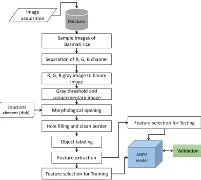 Figure 2. Schematic workﬂow for image processing