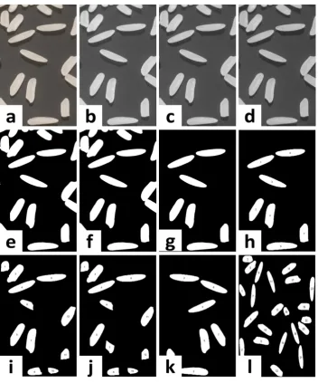 Figure 3. Image processing outputs. a. Raw sample image (RGB); b. Red channel image; c