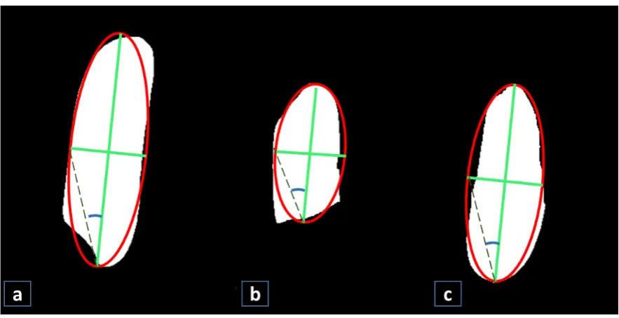 Figure 4. Training and test error for sample images. During training, after 11 epochs the errorsigniﬁcantly reduces