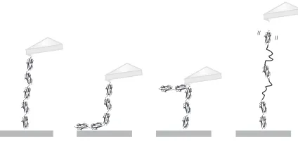 FIG. 2. Four schematics depicting possible reasons why ﬁve