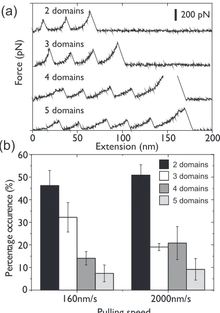 FIG. 3. (a) Examples of experimental traces where two, three,