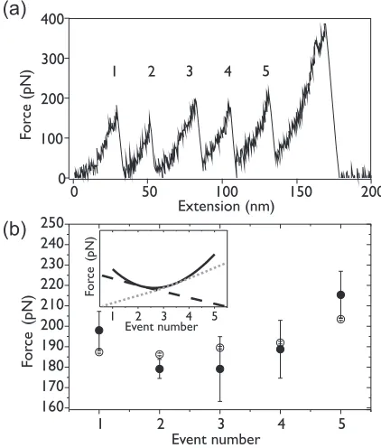 FIG. 4. (a) An example sawtooth pattern for the unfolding of a