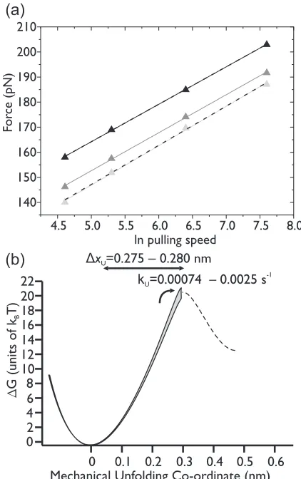 FIG. 6. The simulated pulling speed dependence at speeds of 160,