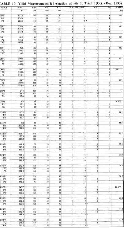 TABLE 10: Yield Measurements & Irrigation at 