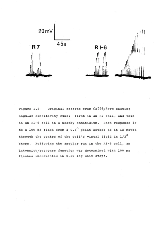 Figure 1.5 Original records angular sensitivity runs: 