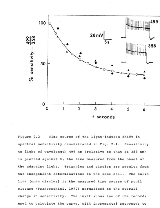 Figure 2.2 Time course of the light-induced shift in 