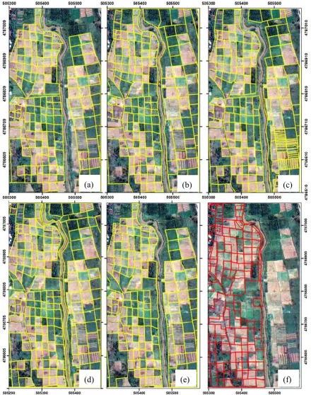 Figure 6: Manually digitised rural parcel boundaries (a-e) and legal boundaries from the national cadastre (f)