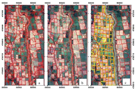 Figure 7: Automatically extracted parcels boundaries. in (c), automated parcels are overlaid with reference (in yellow) parcels