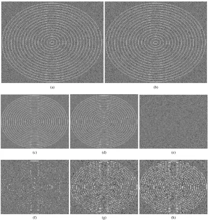 FIGURE 3. Circles image before and after reduction (not to scale). (a) Original. (b) Original with Noise
