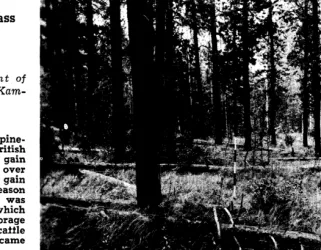 FIG. 1. Plant cover in the experimental fields, Pass Lake, B. C. Dominant tree is lodgepole pine with understory mostly of pinegrass