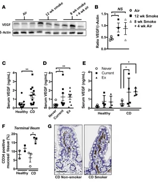 Figure 10. Serum VEGF is elevated in mice chronical- ≤ 0.05, **test used for comparisons of 2 groups, 1-way ANOVA with Tukey’s post-hoc was used whenever more than show significantly elevated serum VEGF (Total CD34 signal as a percentage of tissue area in 
