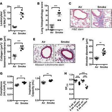 Figure 1. Chronic CS exposure induces experimental COPD and impairs gas exchange in the lung