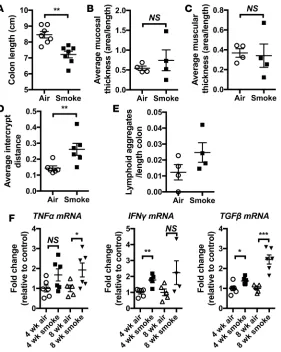 Figure 2. Chronic CS exposure results in mild/subclinical pathology in the colon. Mice were exposed to CS for 4 or 8 weeks