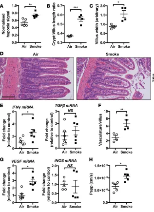 Figure 6. Chronic CS–induced pathology extends to the ileum.dent’s unpaired 2-tailed of 2 groups, 1-way ANOVA with Tukey’s post-hoc was used whenever more than 2 experimental Increased total mucosal hypoxyprobe signal was observed in the mucosal layer of i