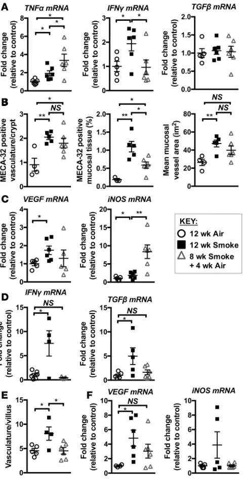 Figure 7. Smoking cessation alters pathology in the colon and ileum. Mice were exposed to CS for 8 weeks to induce experimental COPD and then breathed normal air or continued CS exposure for 4 weeks