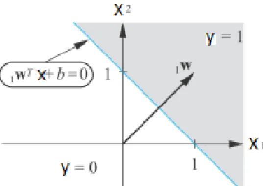 Figure 2. 1.  The sign of the projection onto the weight vector W yields the class label 
