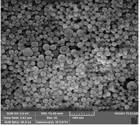 Figure 1. UV characterization of AuNps. 