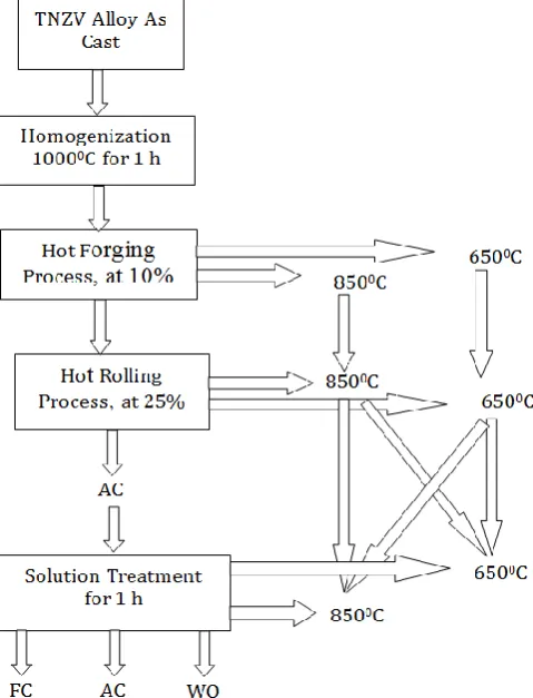 Fig. 1. Flow chart depicting the schedule for thermo-mechanical processing  