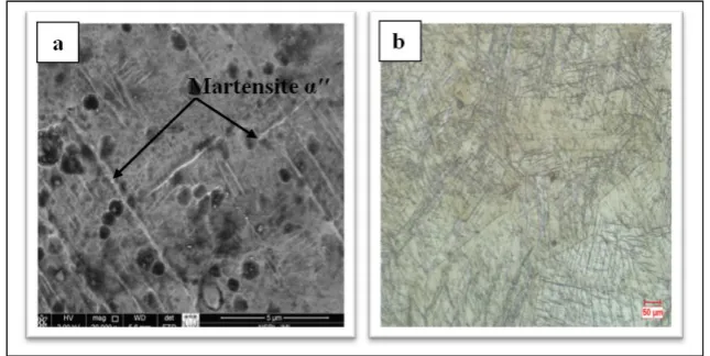 Fig. 3. Microstructure of the TNZV alloy deformed at 8500C and solution treated at 8500C for 1h followed by water quenching (a) scanning electron microstructure (20000X) [13], [16], (b) Optical microstructure [13] 