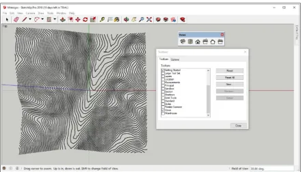 Figure 4. Ortho-projection of the topographic surface engraved with the contour lines.
