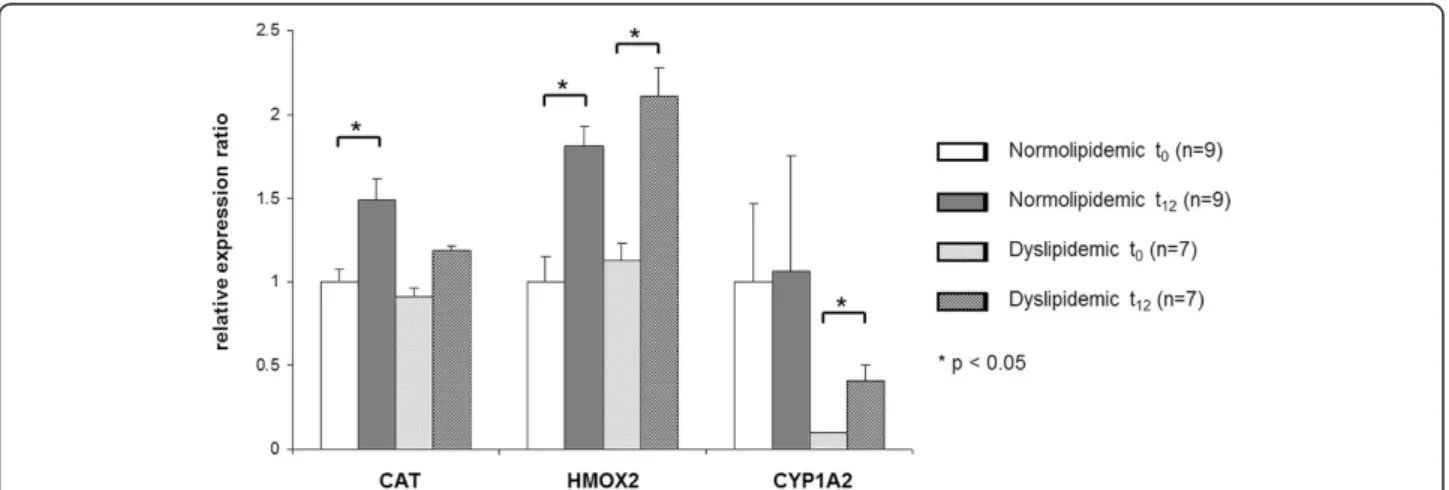 Figure 1 Transcript levels of target genes in normo- and dyslipidemic men. Transcript levels of catalase (CAT), heme oxygenase 2 (HMOX2) and cytochrome P450 enzyme 1 A2 (CYP1A2) was determined by qRT-PCR in normo- and dyslipidemic men before (t 0 ) and aft