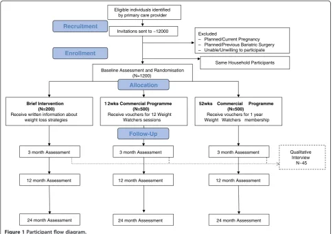 Figure 1 Participant flow diagram.