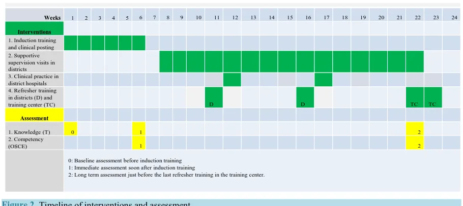 Figure 2. Timeline of interventions and assessment.                                                               