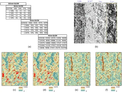 Figure 8. Classification probability maps reveal improved pixel classification with at lower grey level quantization