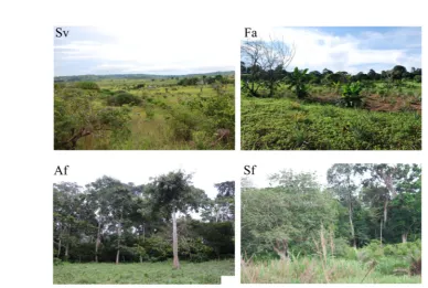 Figure 2. The range of vegetation land cover differ mainly in the density of woody biomass, which changes with season or phenological period