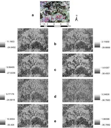 Figure 4. Radar backscatter intensity (dB) images of study landscape for key seasons from 2015 to 2017