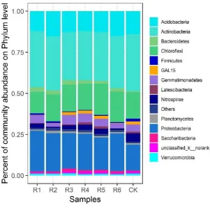 Figure 2. Percent of community abundance on Phylum level in the rhizosphere soil of phytocommunities in mining 