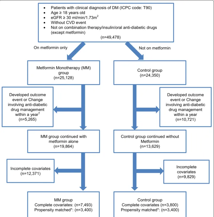 Fig. 1  Flow chart of subjects matching and comparison. MM metformin monotherapy, CVD cardiovascular disease