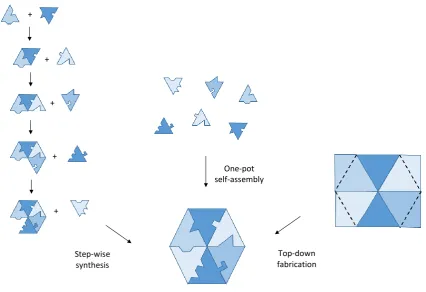 Figure 1.3 DNA assembles via hydrogen bonding between complementary base pairs. Adenine binds to thymine (above) and cytosine binds to guanine (below)