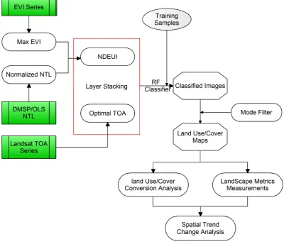Figure 3. Flowchart of the procedural workflow. 