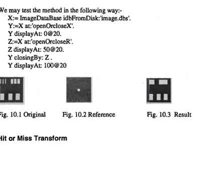 Fig. 10.1 Original 