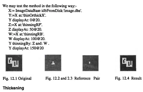 Fig. 12.1 Original 