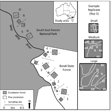 Figure 1. Map of the experimental site. There are eight sampling sites within each plot, each with two pitfall traps