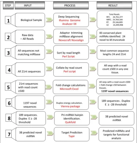 Figure 3.2 Bioinformatic Workflow. Summary of steps employed to predict novel miRNAs from unprocessed deep sequencing data