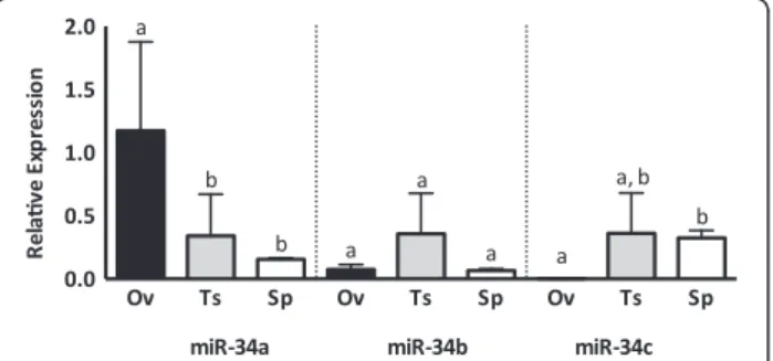 Figure 4 MiR-34 family abundance in sperm and reproductive tissues. MicroRNA expression determined by qRT-PCR on ovary (Ov), testis (Ts) tissues and sperm (Sp), normalized to U6