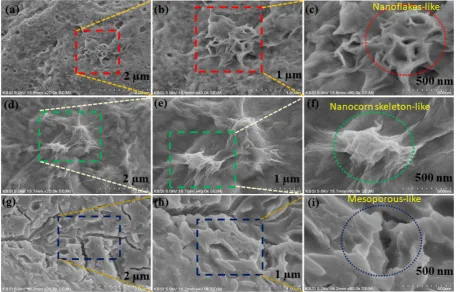 Fig 2. Shows the (a, b and c) SEM and FE-SEM images of CZ1h, (d, e and f) SEM and FE-SEM 