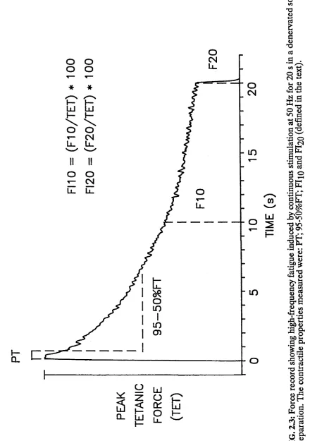 FIG. 2.3: Force record showing high-frequency fatigue induced by continuous stimulation at 50 Hz for 20 s in a denervated soleus  (defined in the text).preparation