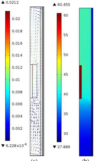 Fig 8. a) Velocity field inside the server for the dialectic liquid. b) Temperature filed   