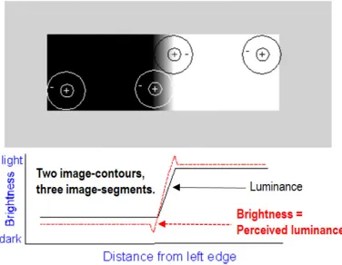 Figure 9. Mach bands illusion. In black: Ramp in luminance units across space. In red: Brightness (perceived luminance) across space