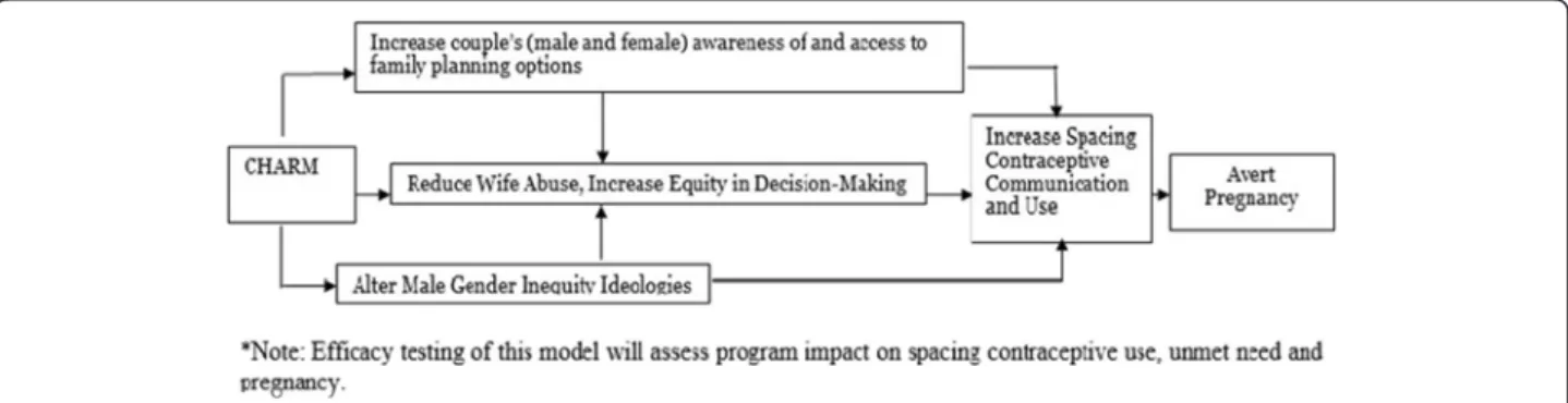 Fig. 1 Model of CHARM intervention impact on contraceptive use and pregnancy