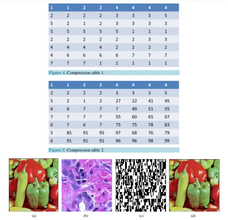 Figure 4. Compression table 1. 