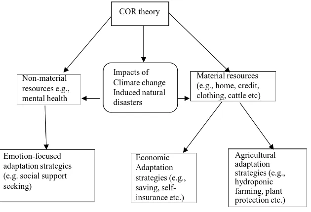 Figure 1. A schematic outline of COR theory. 